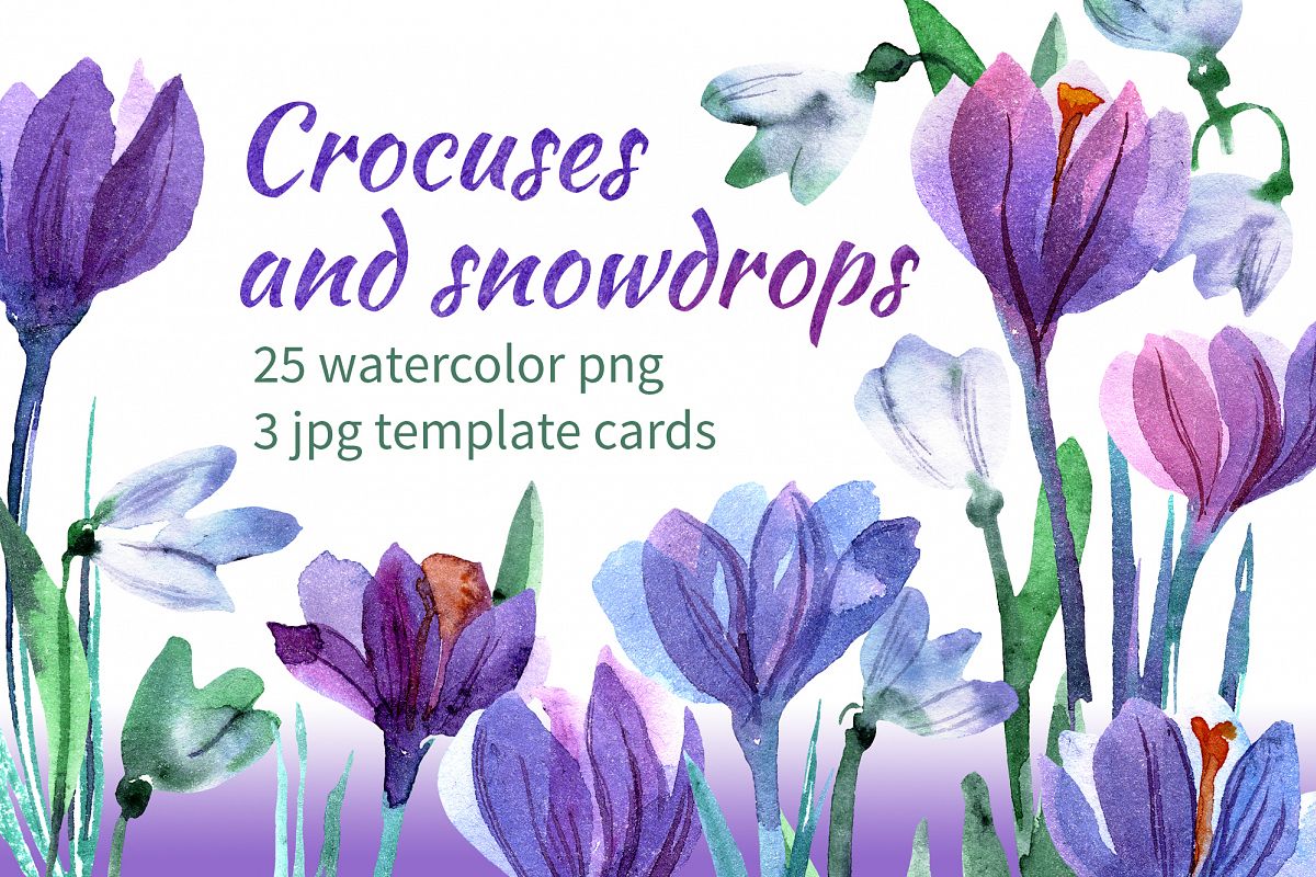 Watercolor crocuses and snowdrops example image 1