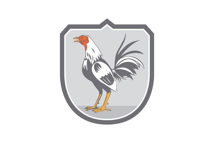 Cockerel Rooster Standing Shield Retro example image 1