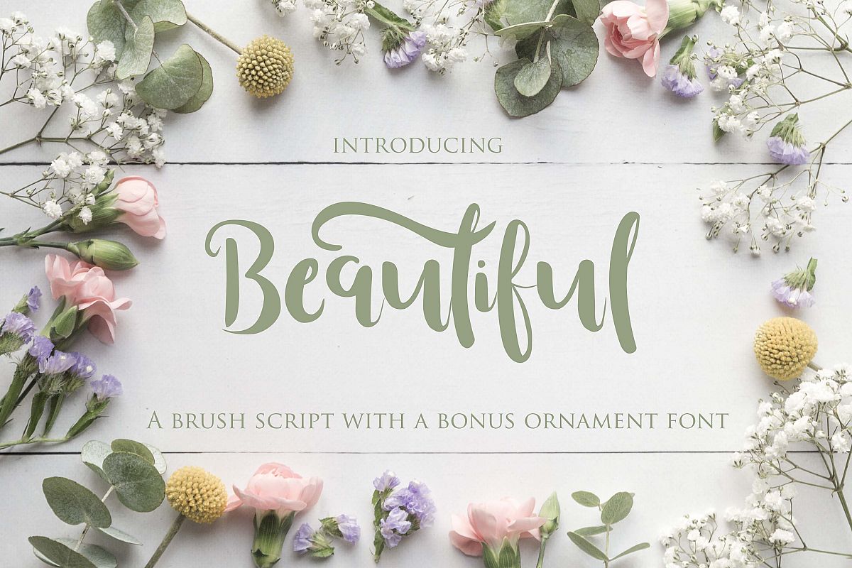 Beautiful Font with Bonus Ornament font example image 1