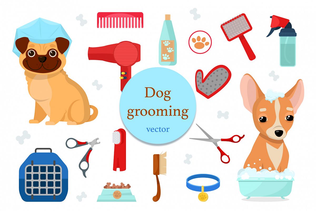 Dog grooming example image 1