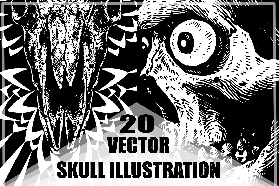 20 VECTOR skull illustration example image 1
