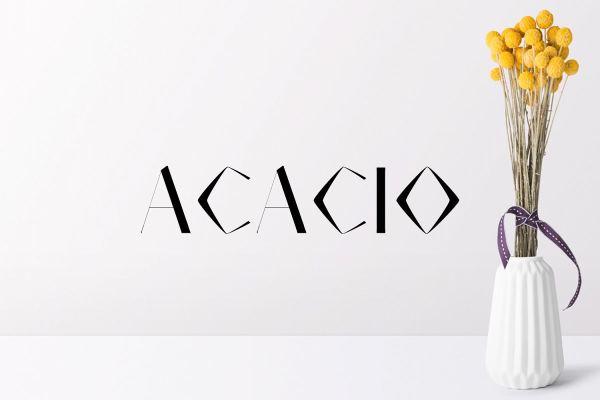 Acacio Serif 2 Font Family Pack example image 1