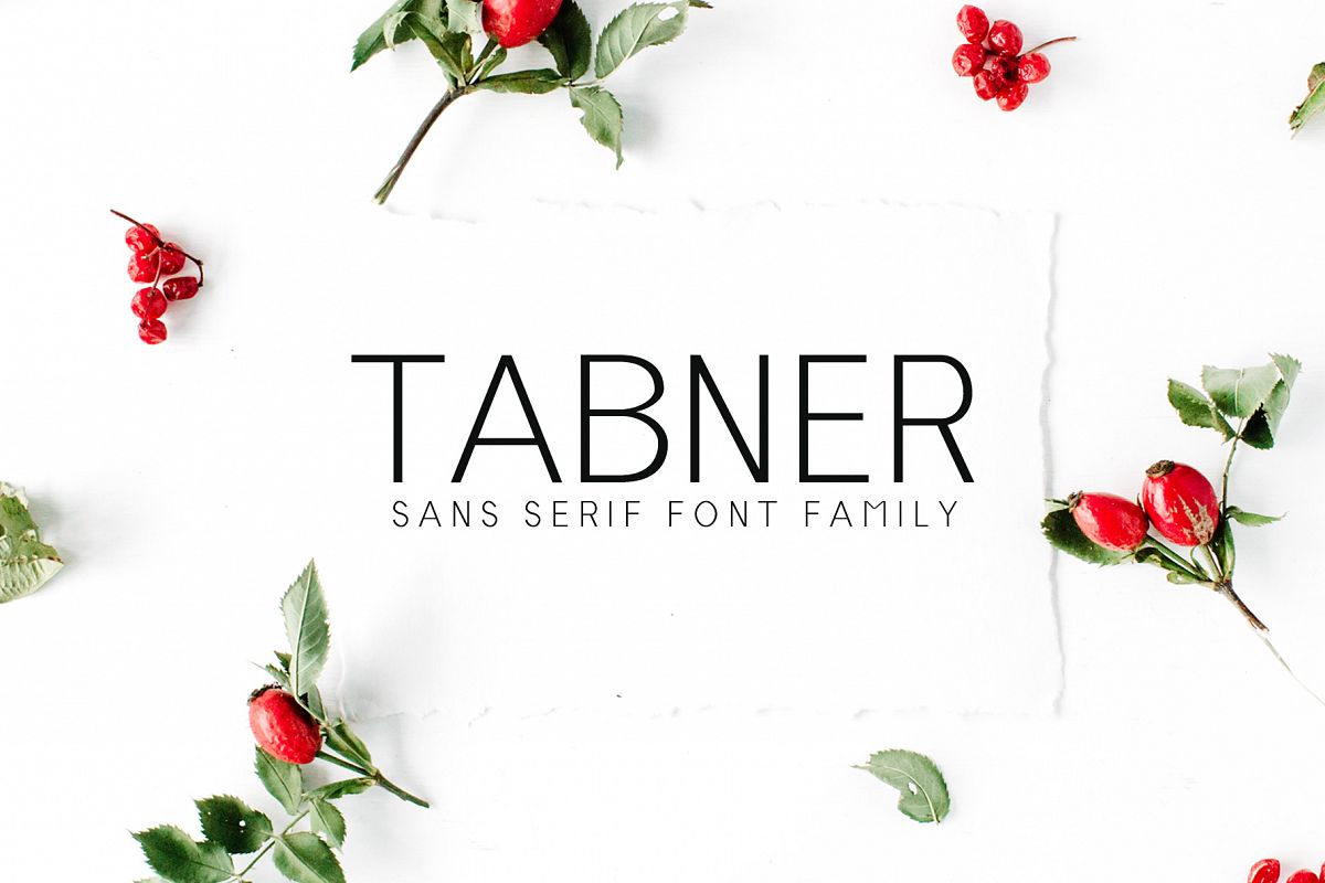 Tabner Sans Serif Font Family example image 1
