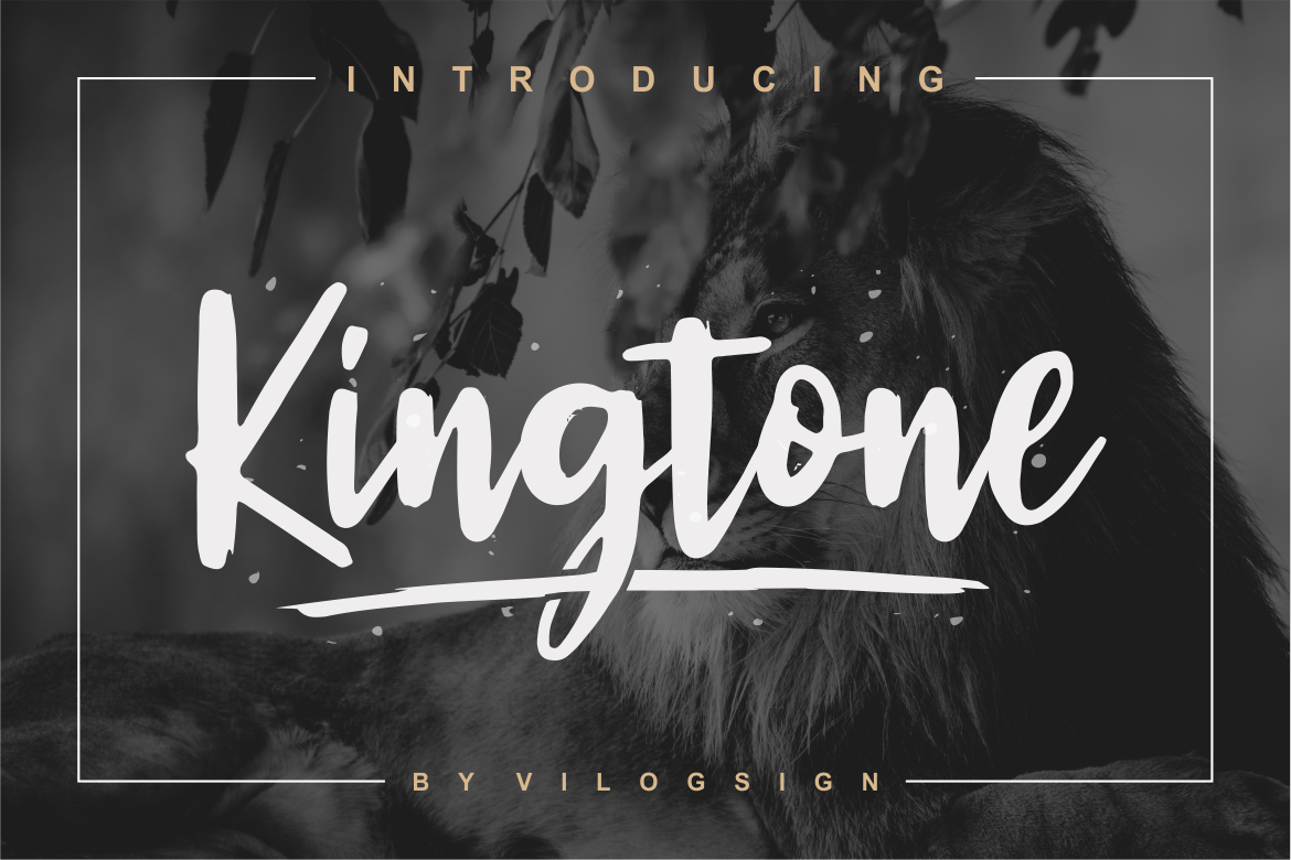 Kingtone // Handcrafted Script Font example image 1
