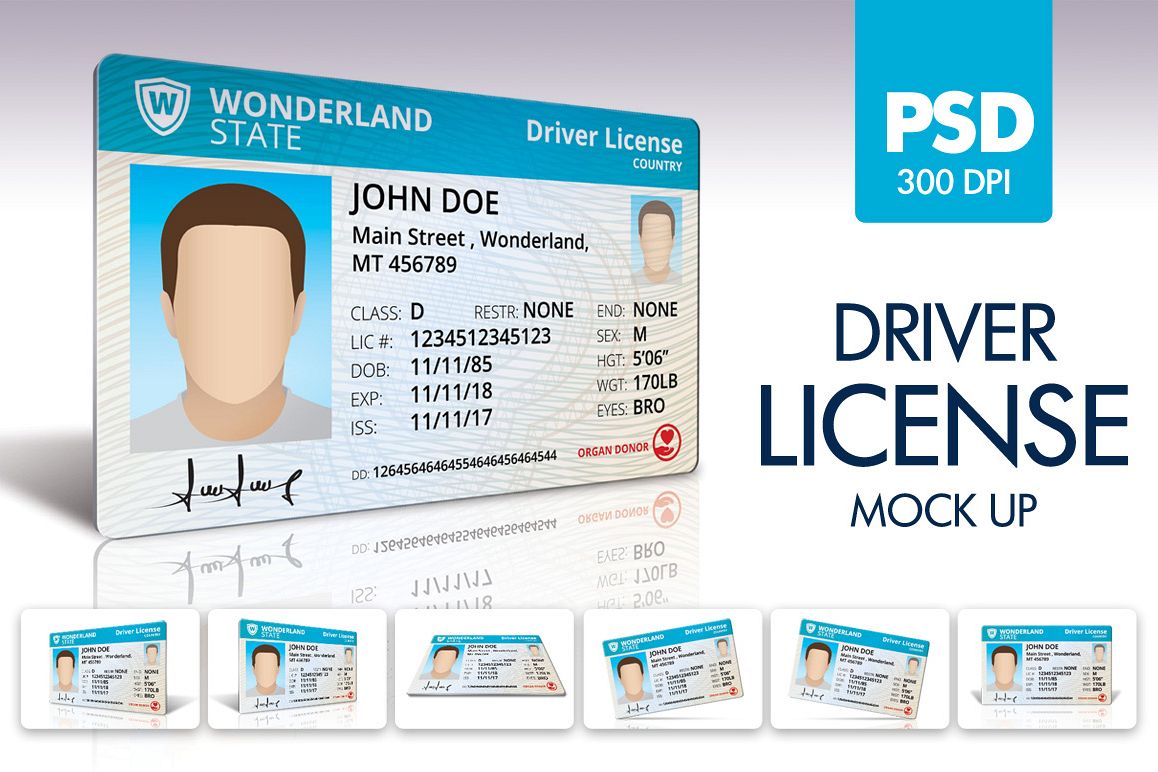 Download Driver License Mock UP (193378) | Card and Invites | Design Bundles