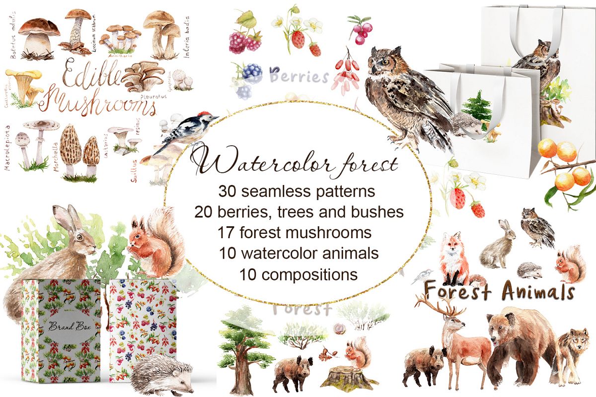 Watercolor forest example image 1