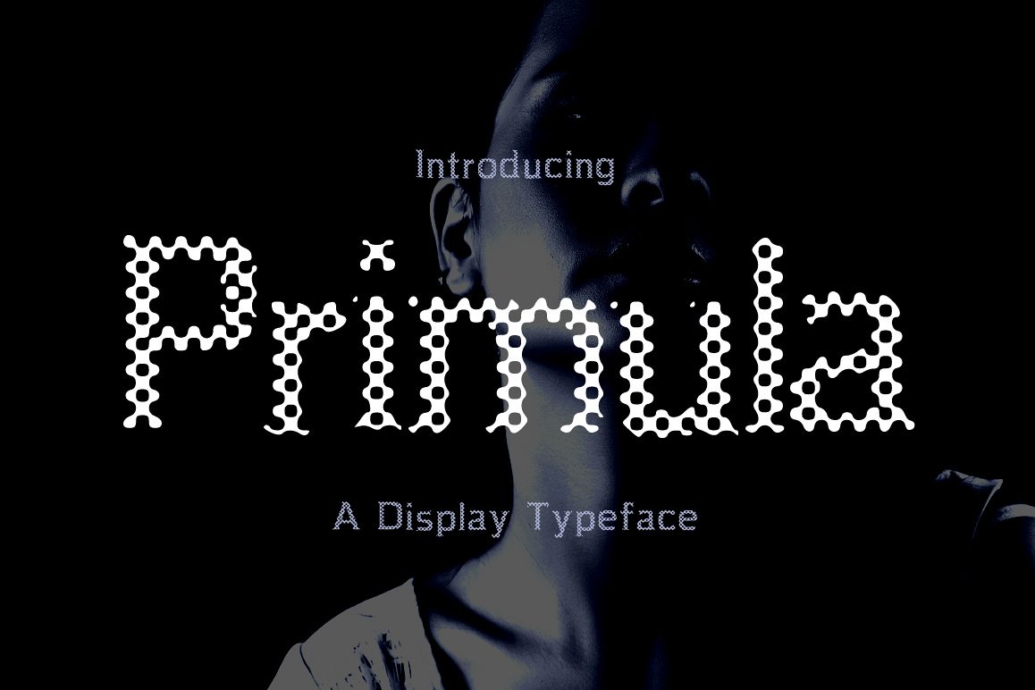 Primula example image 1