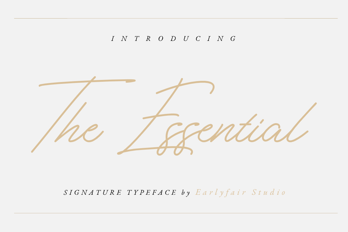 The Essential example image 1
