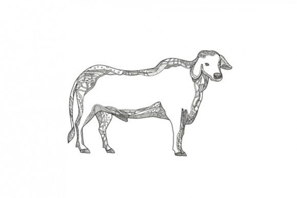 Brahman Bull Side Doodle Side example image 1