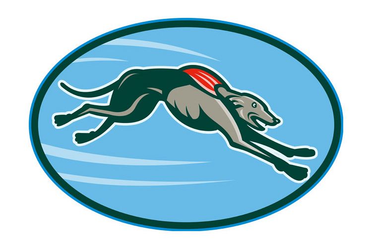 Greyhound racing and jumping set inside oval example image 1