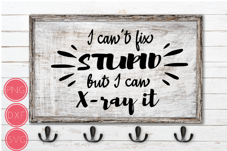 I Can't Fix Stupid But I Can X-Ray It SVG, Xray Tech gifts example image 1