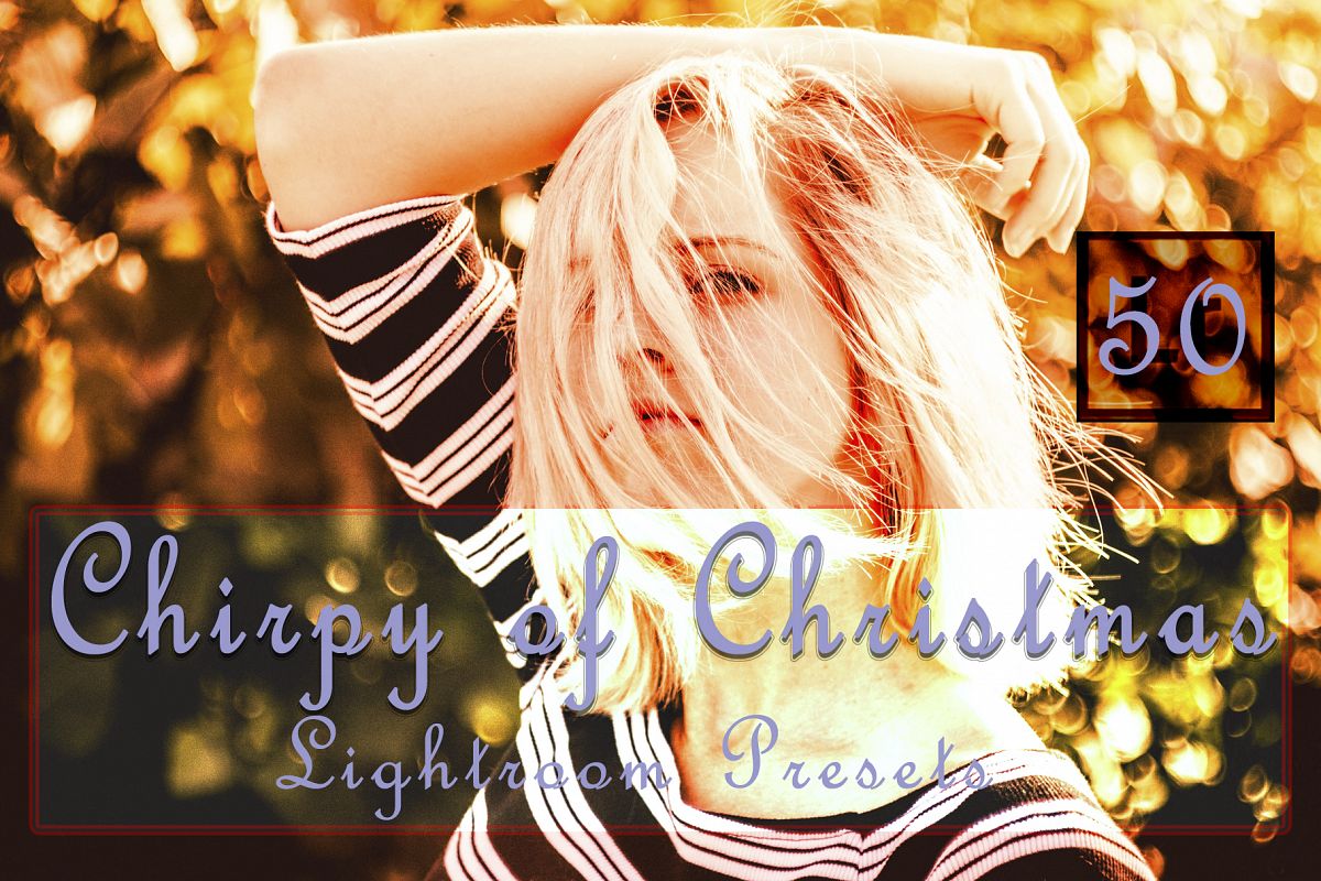 Chirpy of Christmas Lightroom Presets example image 1