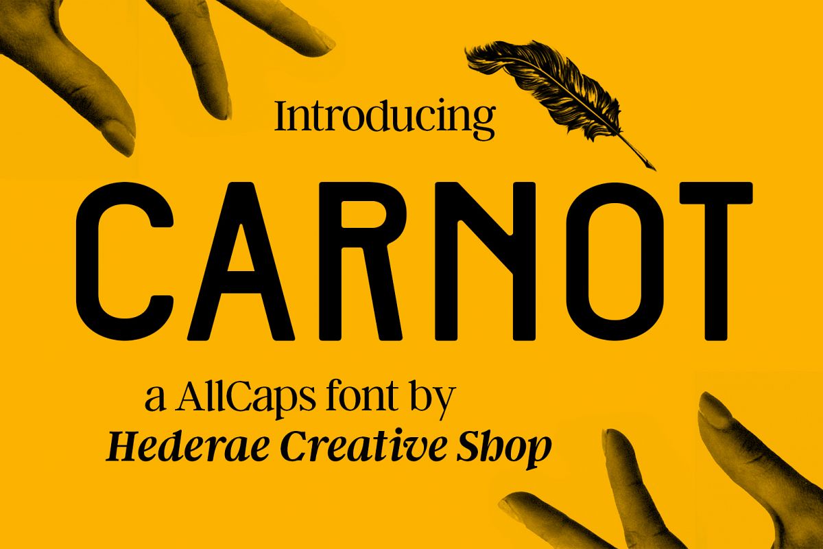 Carnot Typeface example image 1