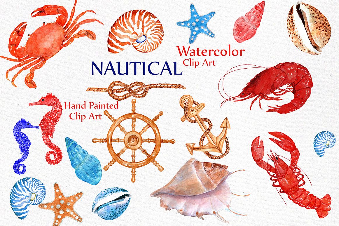 Seashell Nautical Watercolor Clipart example image 1