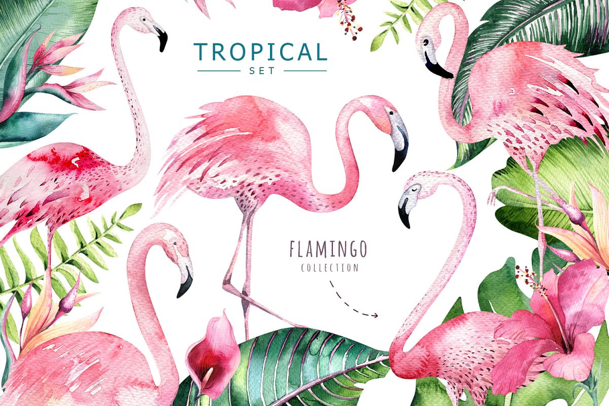 Tropical set II. Flamingo collection example image 1
