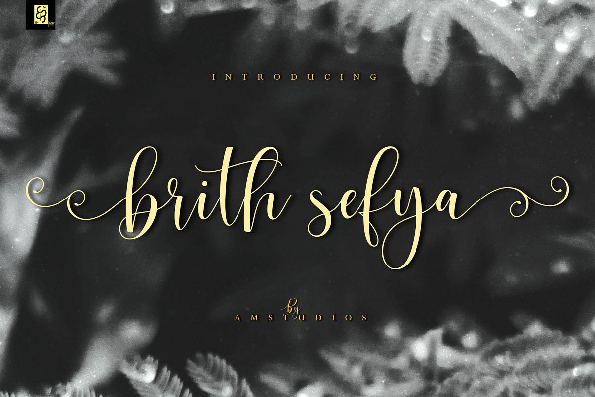 brith sefya example image 1