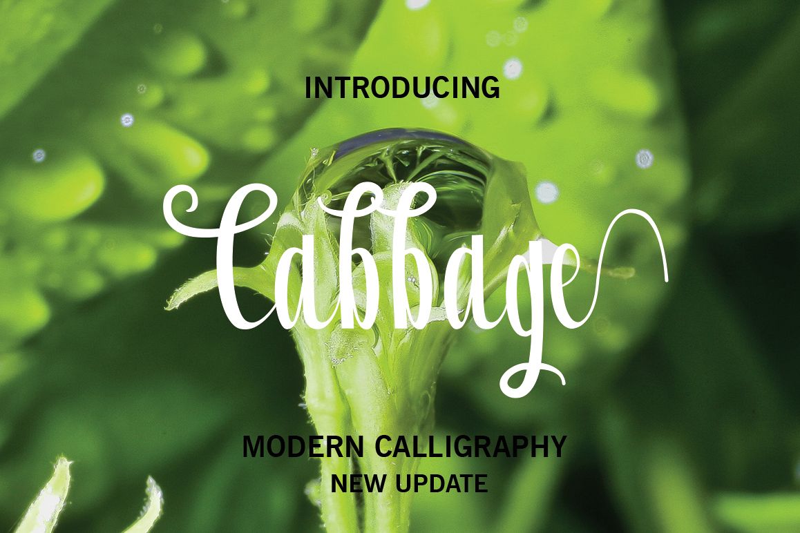 Cabbage example image 1