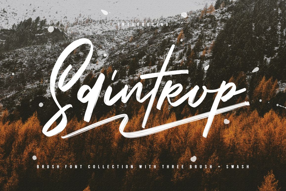 Saintrop Brush Font Collection example image 1