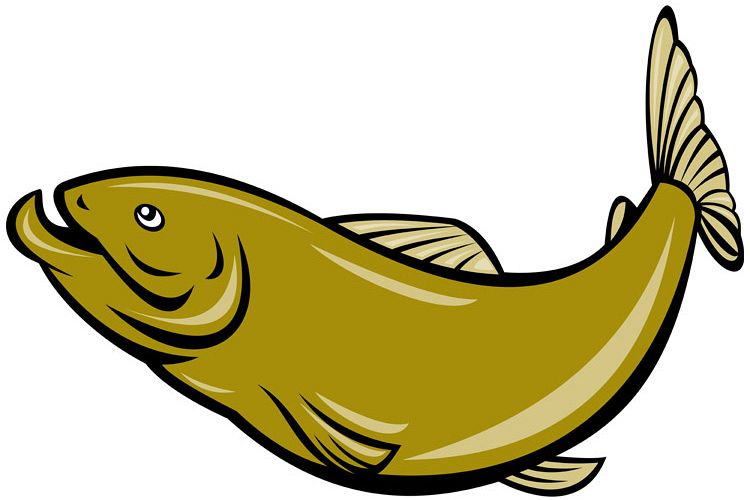 cartoon trout fish jumping side example image 1