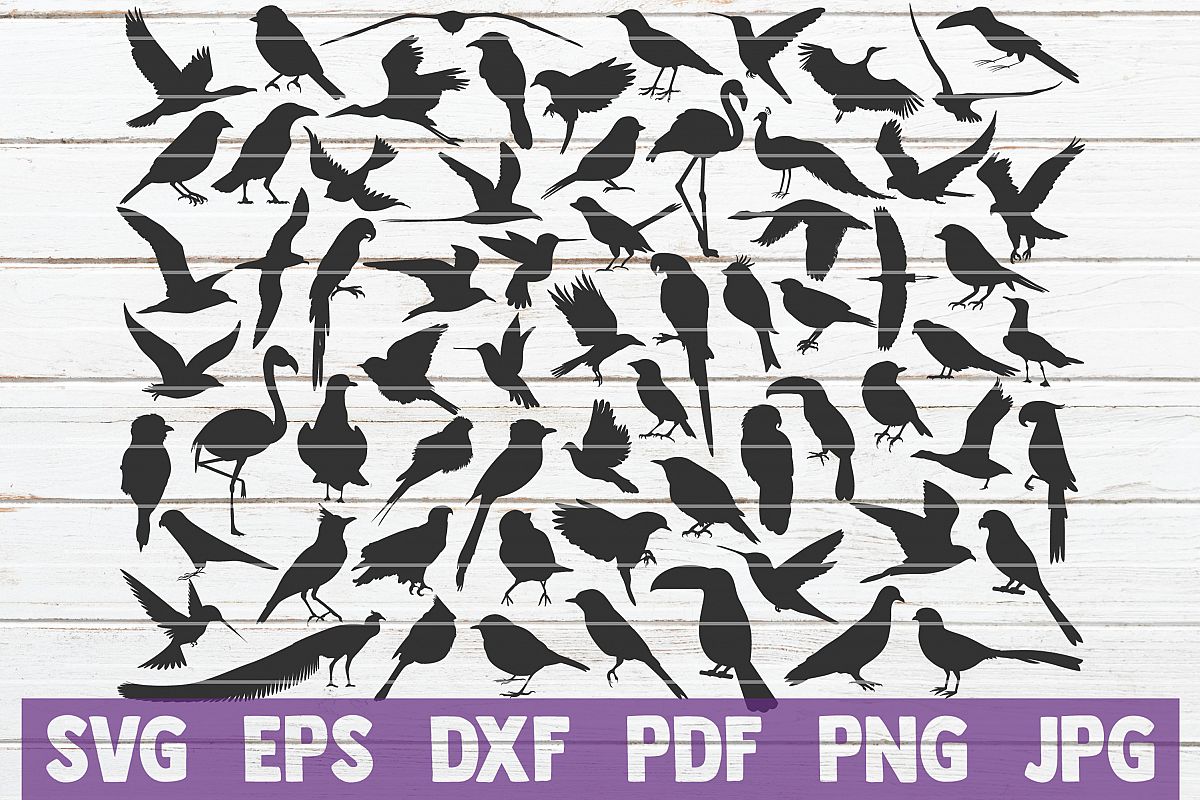 Birds SVG Cut File | commercial use example image 1