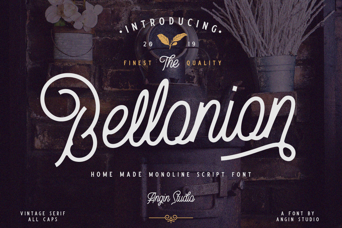 Bellonion Monoline Script example image 1