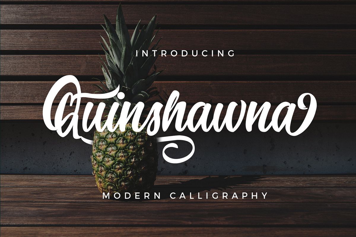 Quinshawna Font Script example image 1