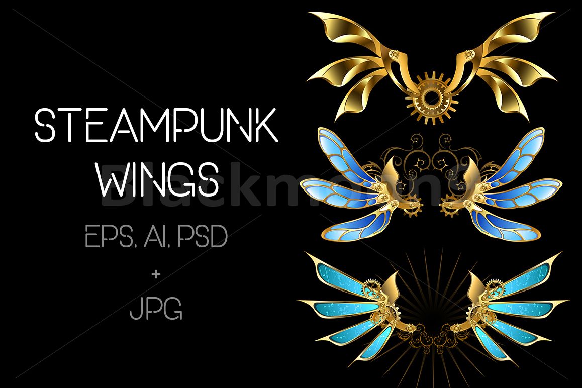 Set of Steampunk Wings example image 1