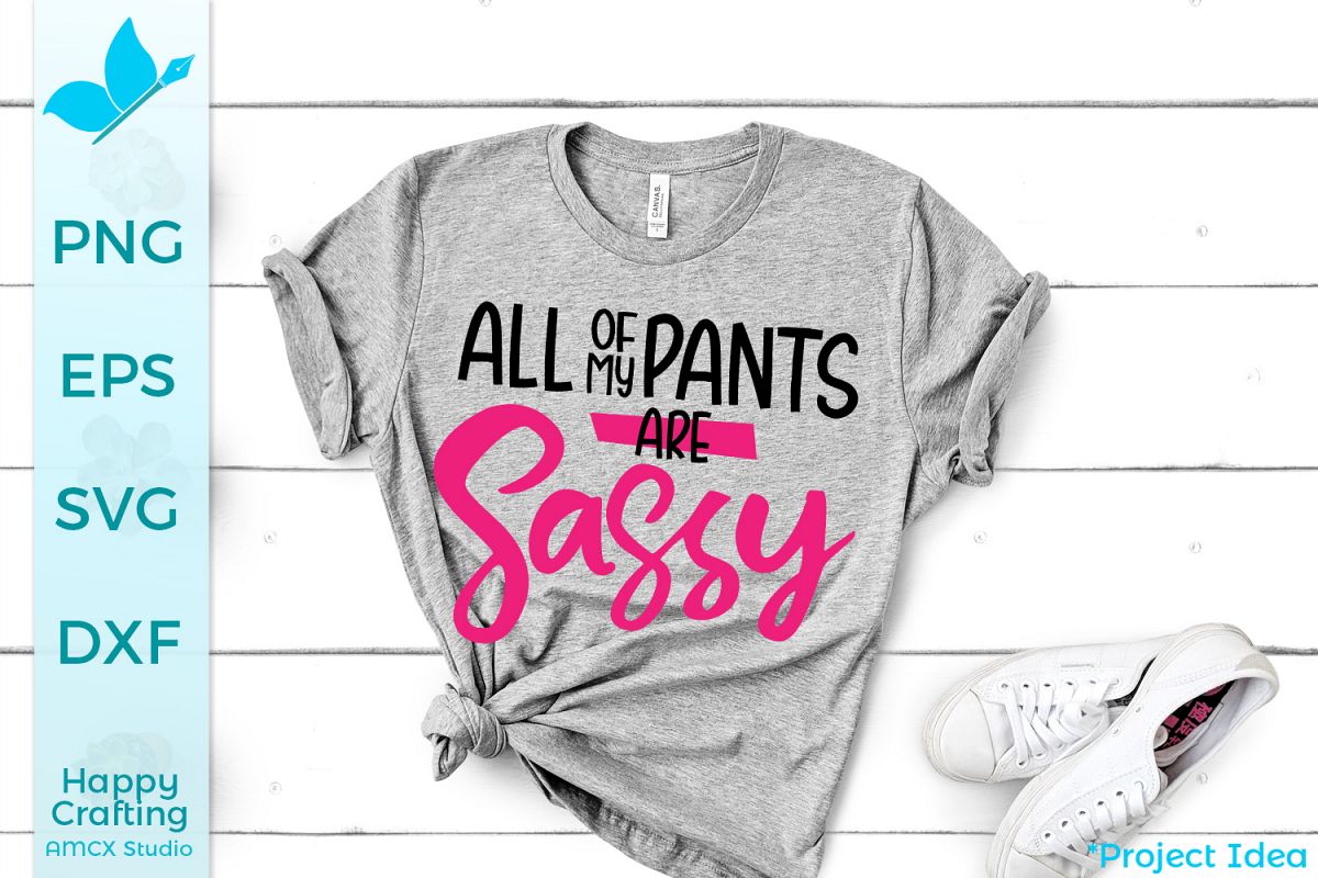 All of my pants are sassy- A Funny Craft File example image 1