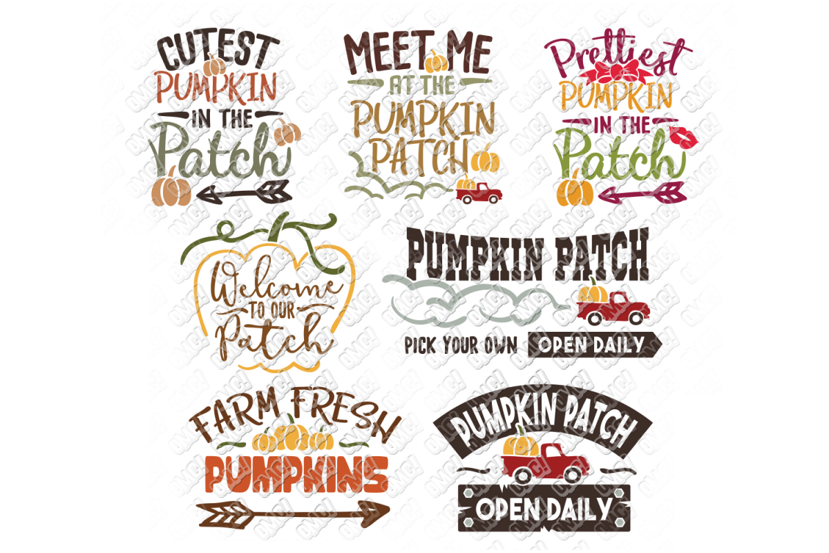 Pumpkin Patch SVG Thanksgiving in SVG, DXF, PNG, EPS, JPG example image 1