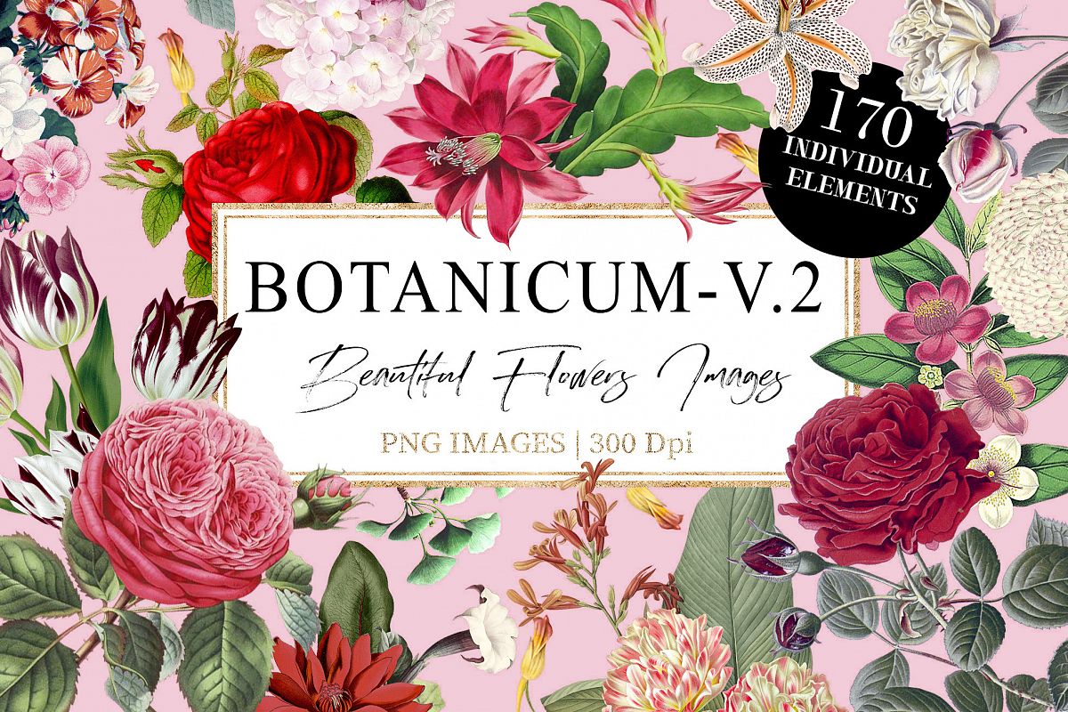 Botanicum - V.2|Elements Botanic example image 1