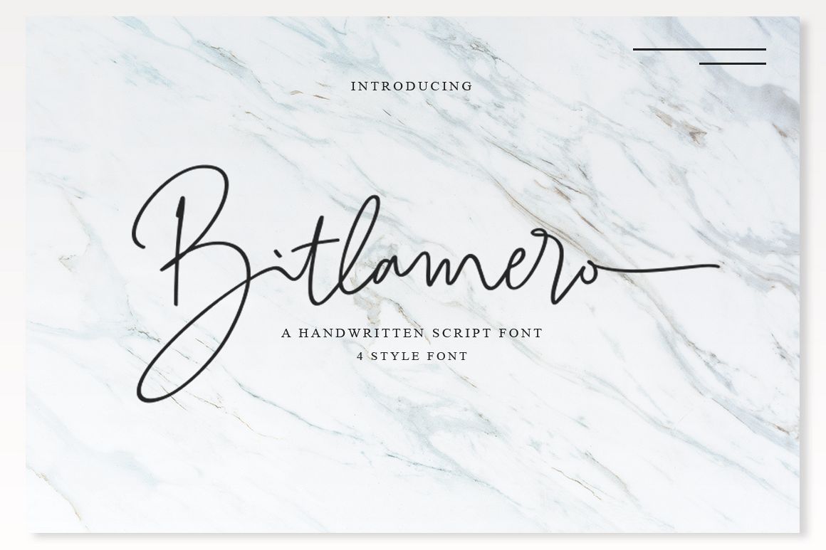 Bitlamero Script example image 1