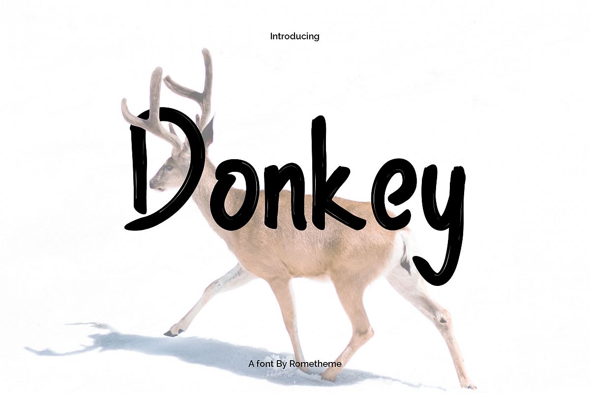Donkey Font example image 1