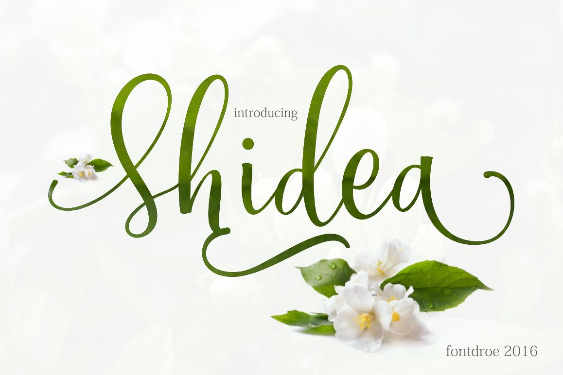 Shidea example image 1