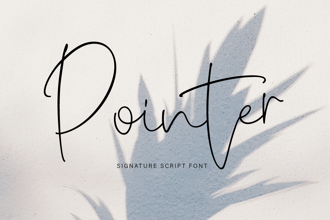 Pointer example image 1
