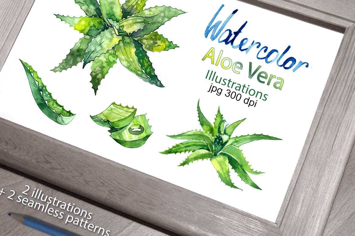 Watercolor aloe vera set example image 1