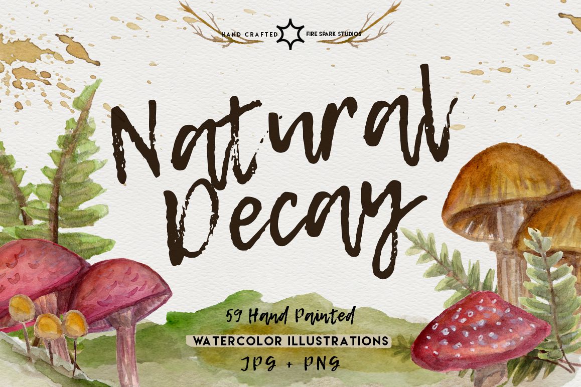 Natural Decay Watercolor Illustrations example image 1