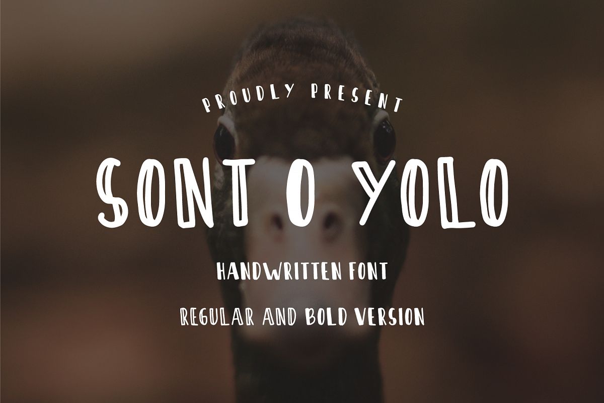 Sont O Yolo - Handwritten Font example image 1
