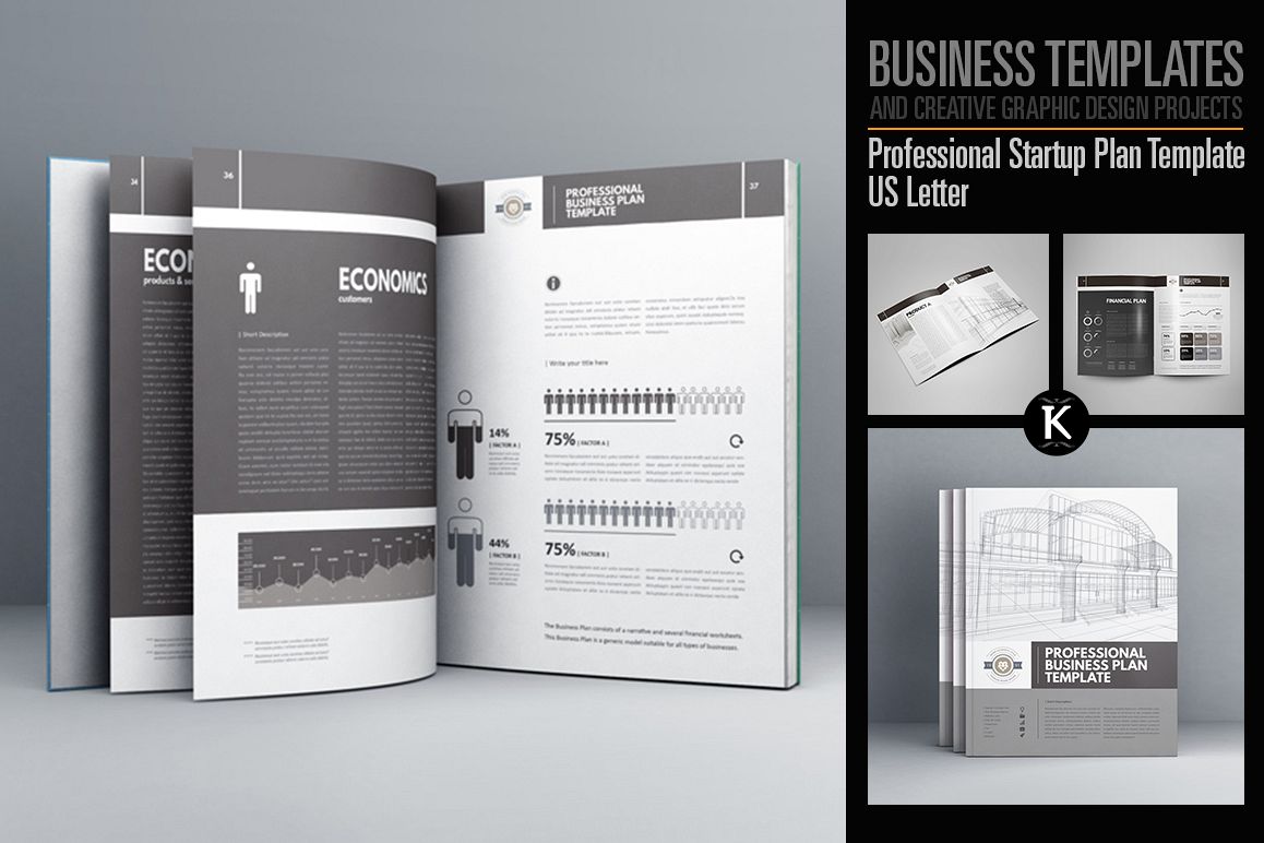 Professional Startup Plan Template US Letter example image 1