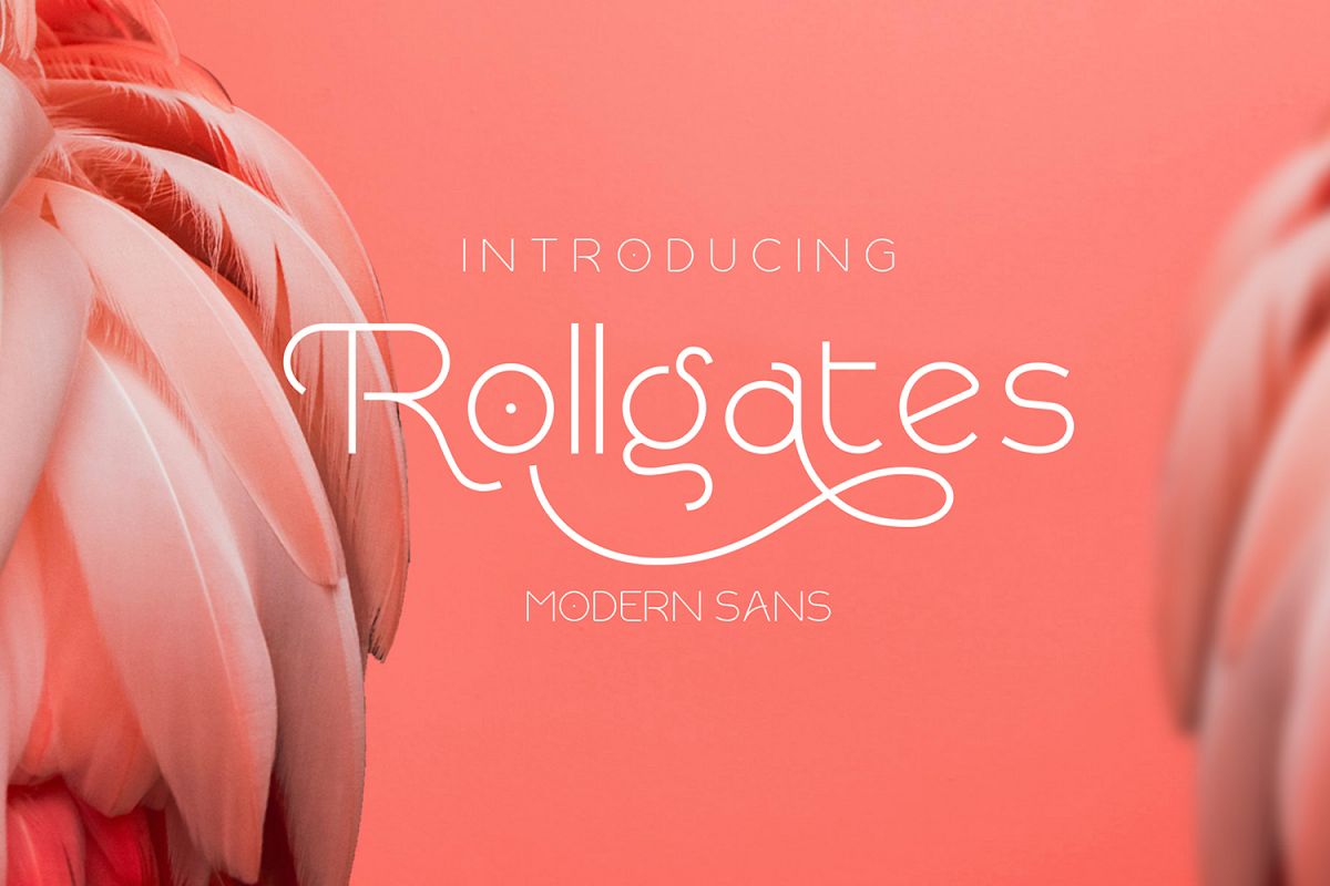 Rollgates example image 1