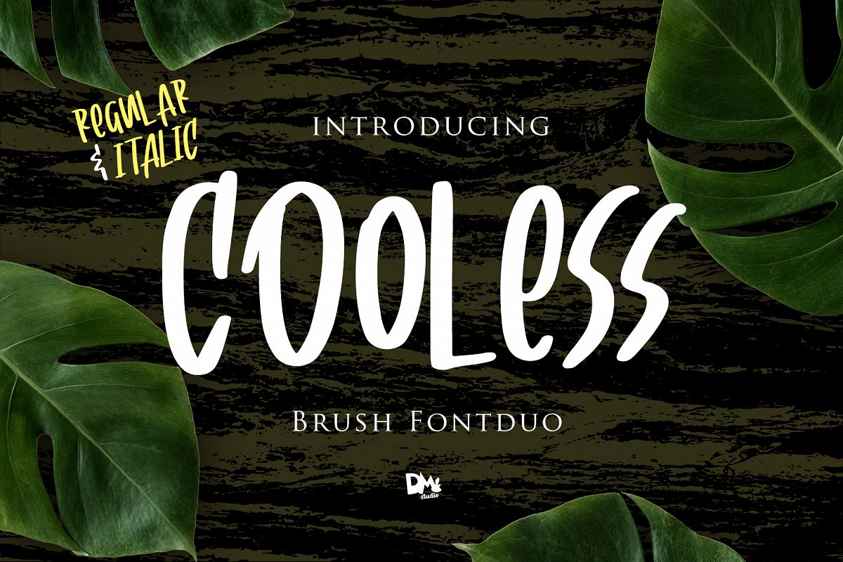 Cooless - Brush Font example image 1