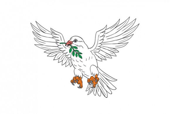 Dove With Olive Leaf Drawing example image 1