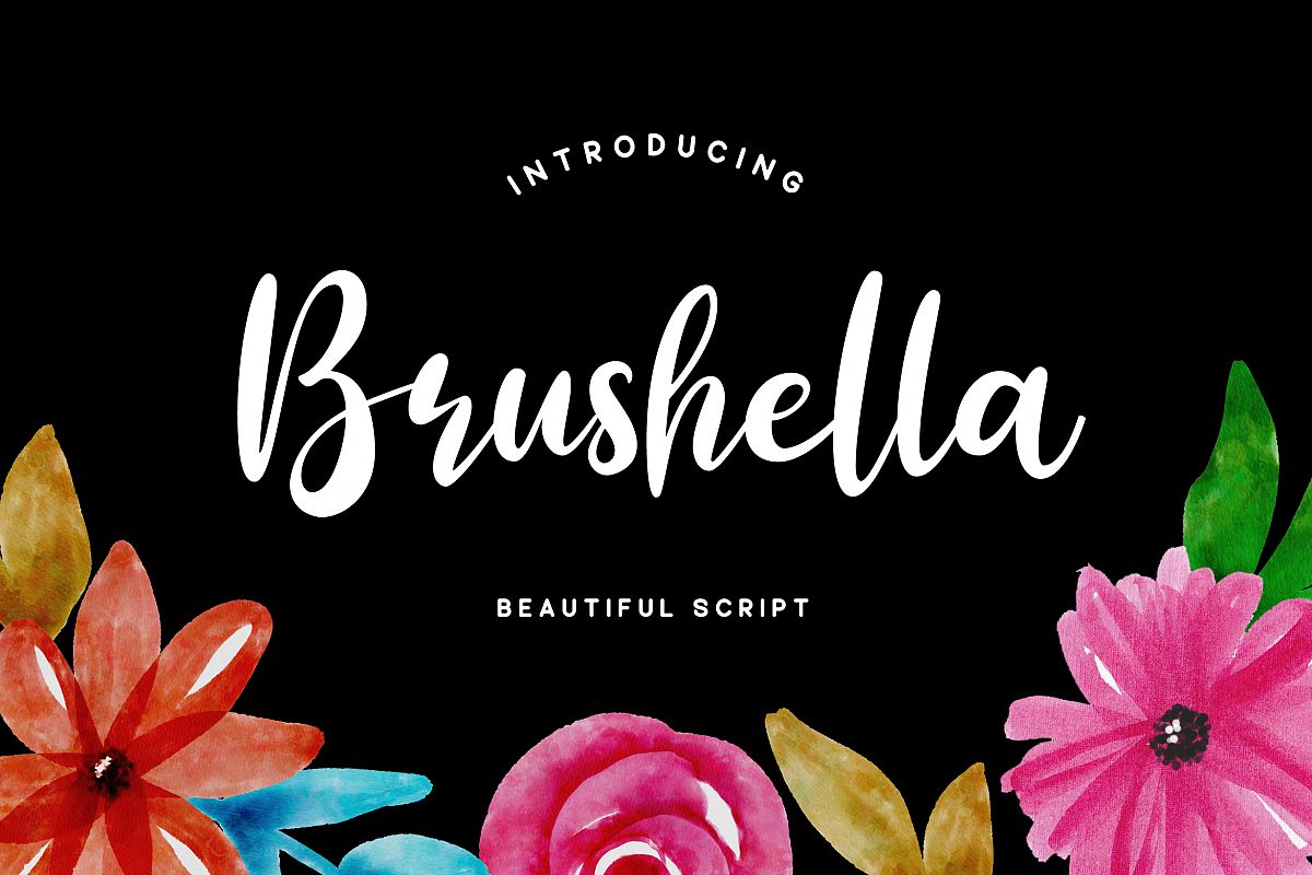 Brushella - Beautiful Script Font example image 1