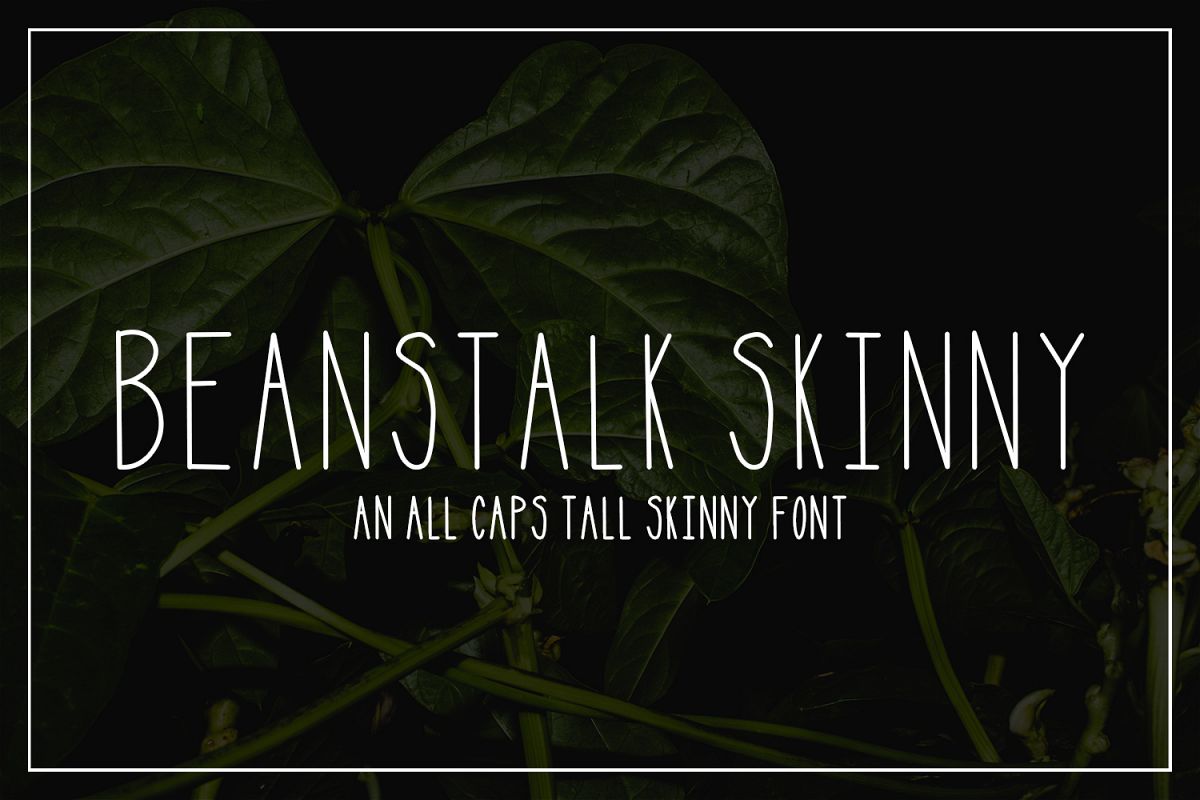 Beanstalk Skinny Font example image 1