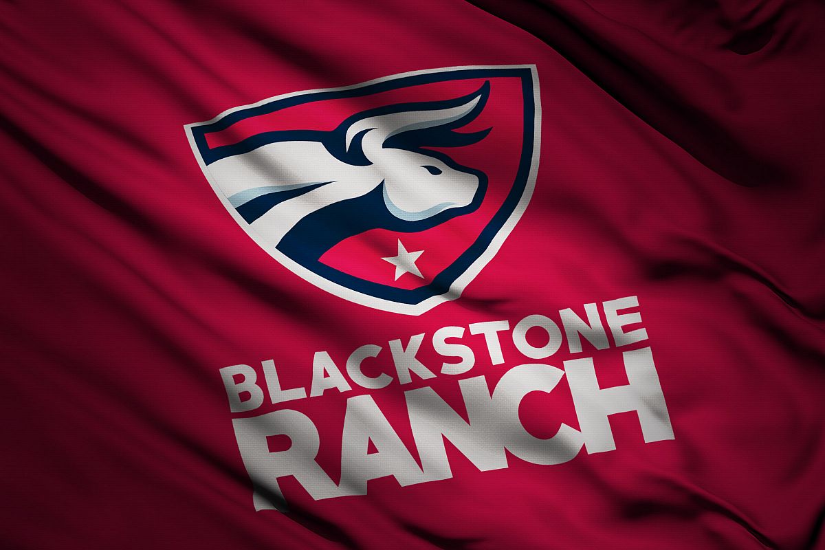 Flag Logo Mockup example image 1