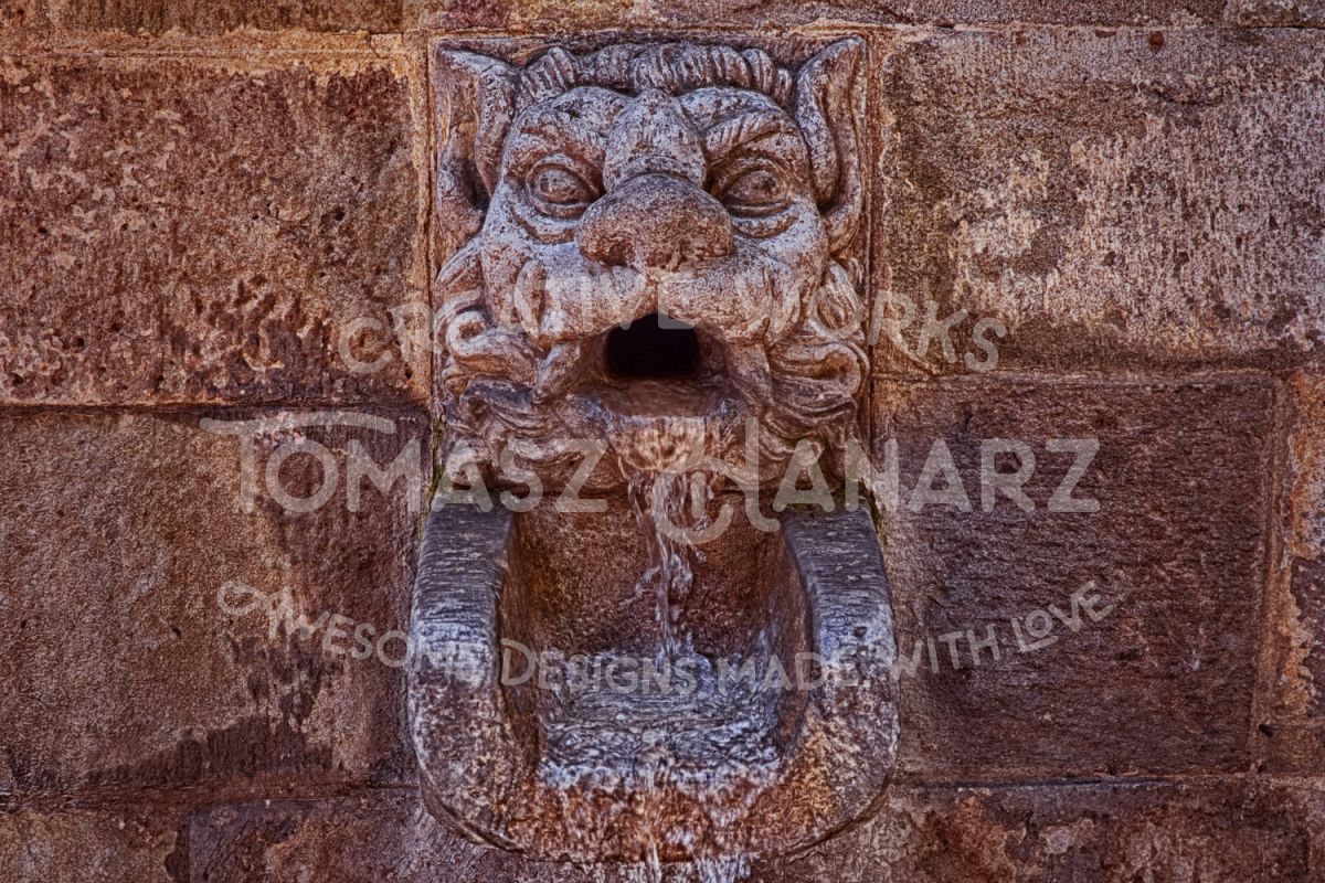 Ancient Stone Beast Head Water Source example image 1
