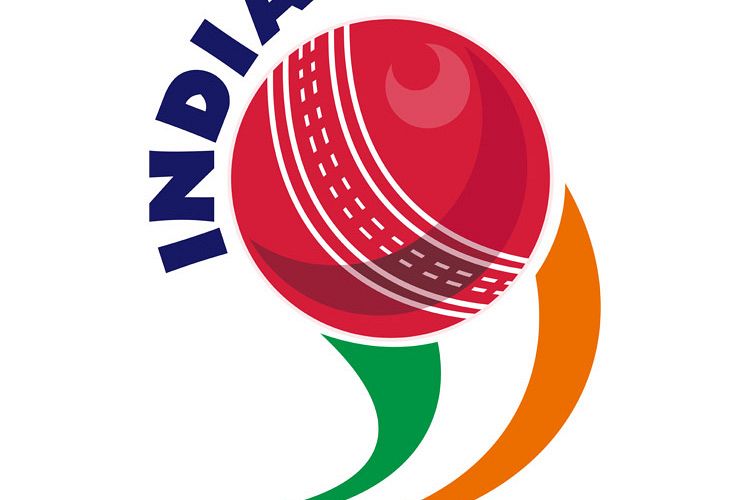 cricket ball flying out India example image 1