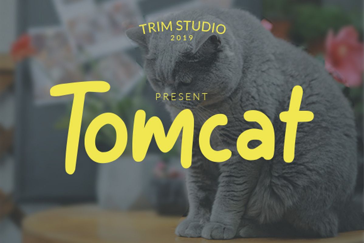Tomcat - Cheerfull Day Font example image 1
