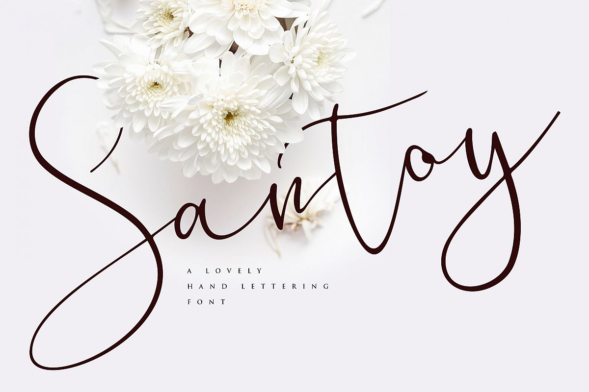Santoy | Hand Lettering Font example image 1