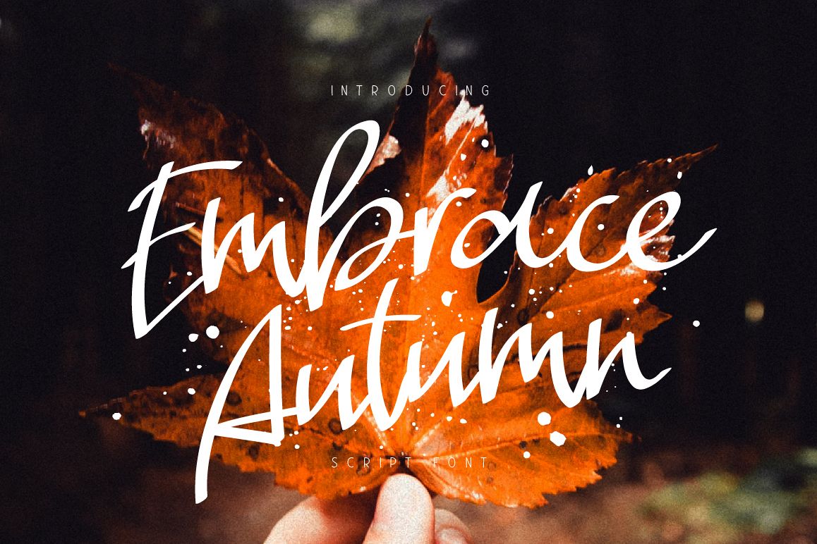 Embrace Autumn example image 1