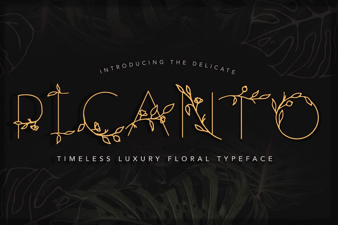PICANTO - FLORAL FONT example image 1